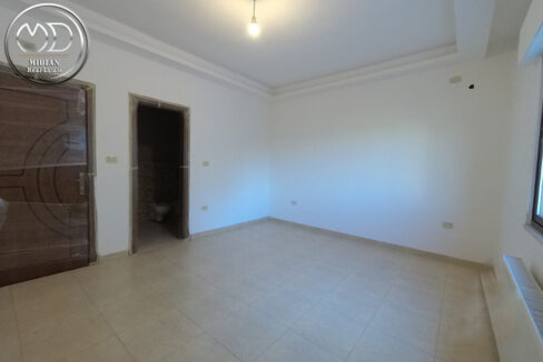 15531387471740932822_large